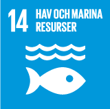 Sustainability