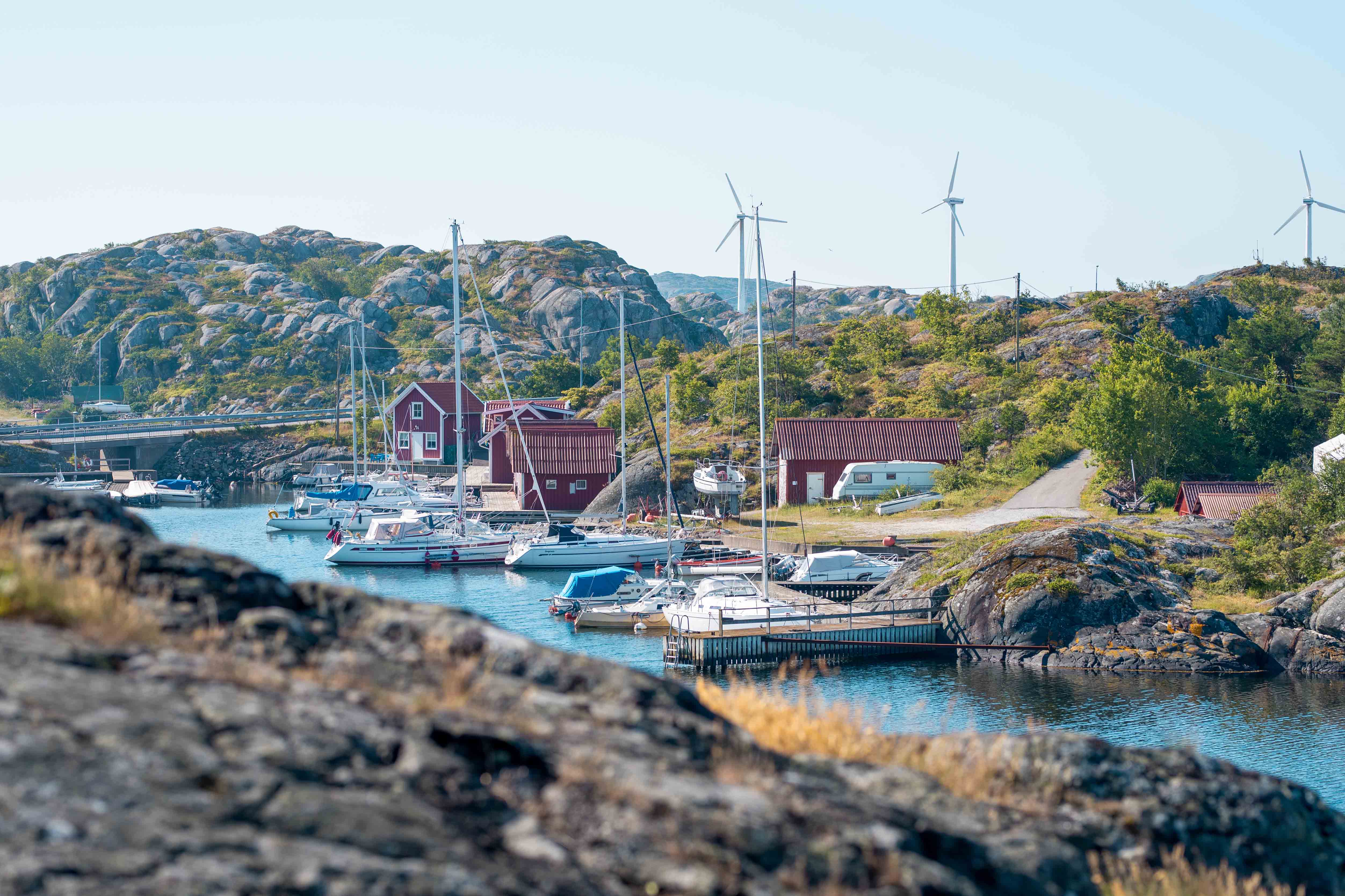 Natur på Tjörn